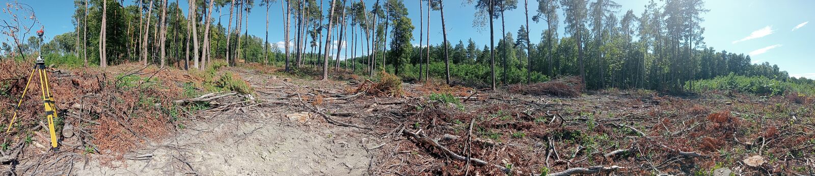 Panorama zrębu leśnego z gałęziami i pniakami po wycince; po lewej odbiornik GNSS na żółtym statywie, przez środek biegnie piaszczysta droga, w tle wysoki sosnowy las